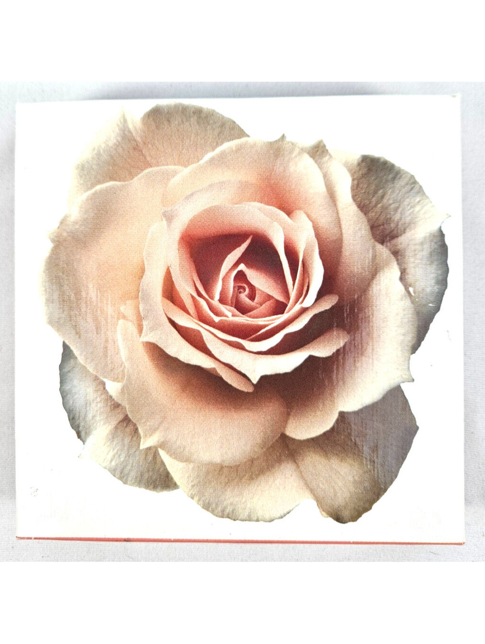 Designer Collection Greeting Cards, 12 Flower Note Cards & 12 Envelopes